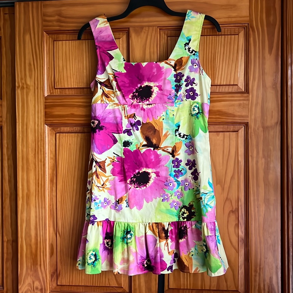 Alyn Paige Women’s 13/14 Colorful Floral Dress